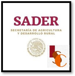 Se alista Plan Campeche: Sader. 